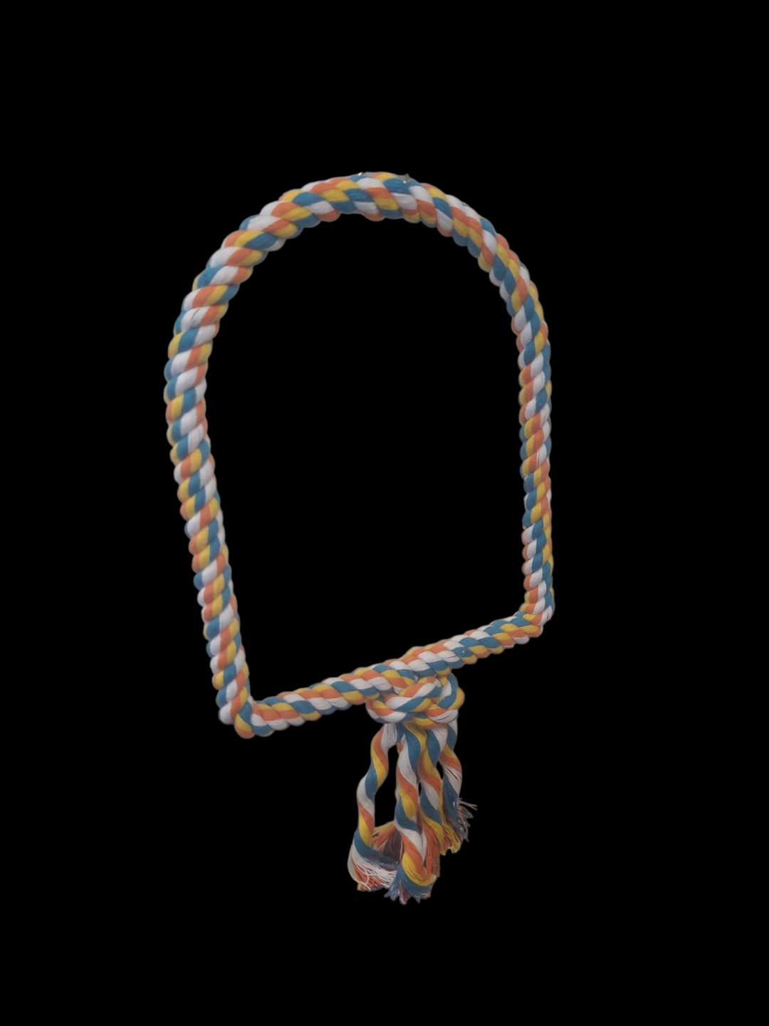 Arc Rope Swing Parrot Toy