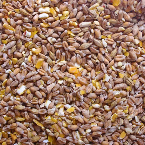 Midland Parrots Mixed Corn 2KG Poultry Food