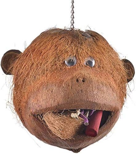 Java Coco Monkey Parrot Toy