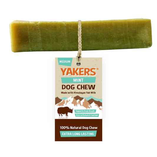 Yakers Mint Medium Chew Dog Treats