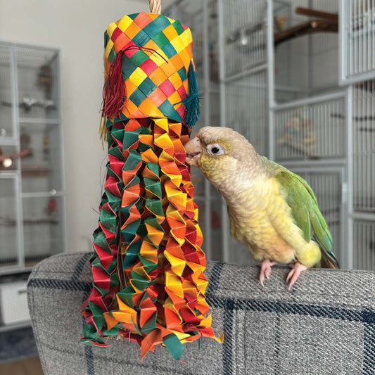 Octopus Parrot Toy