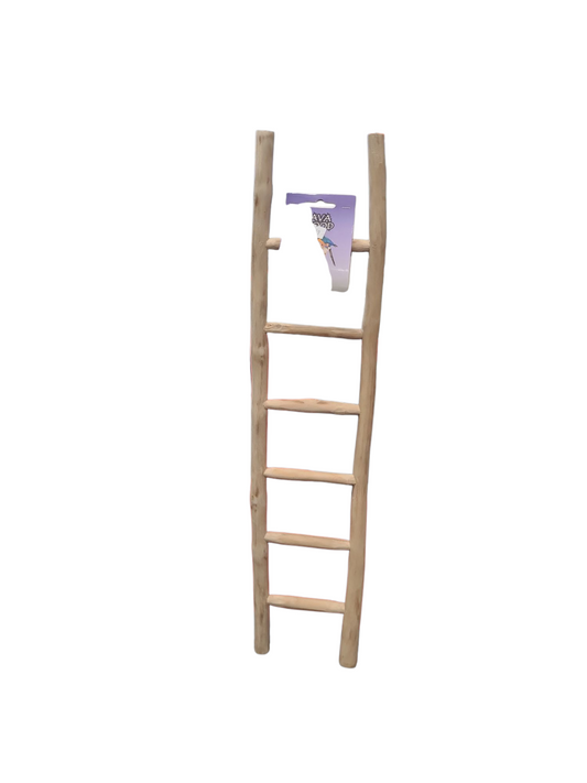 Java Ladder 6 Step Parrot Toy