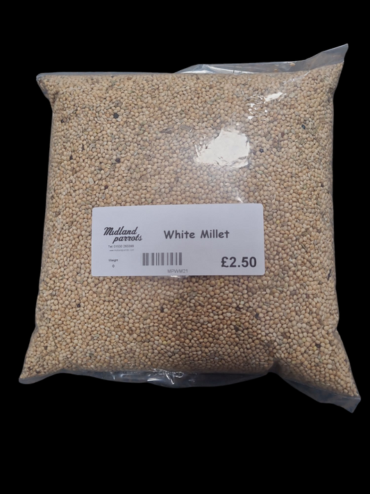 Midland Parrots White Millet 1KG Bird Food