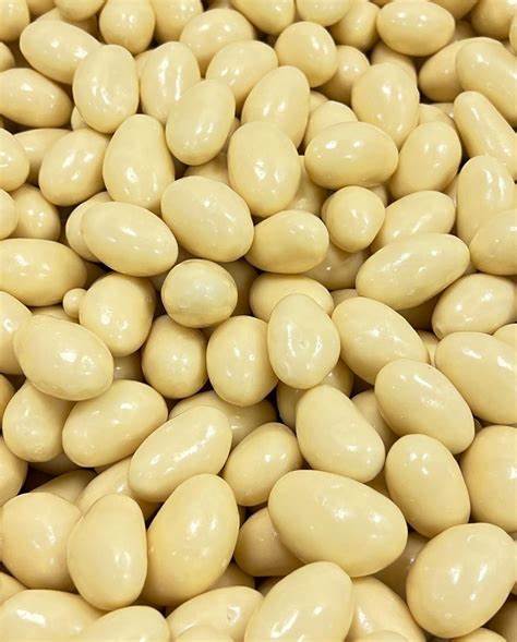 Yoghurt Coated Brazil Nuts 250G Parrot Treats