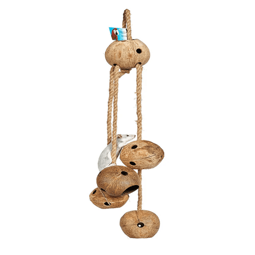 Big Coco Balls Parrot Toys