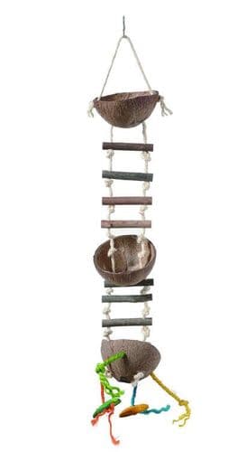 Coco Feeder with Ladder Parrot Toys