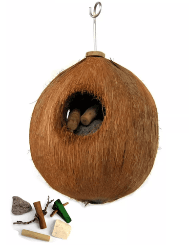 Java Coco Full Moon Parrot Toy