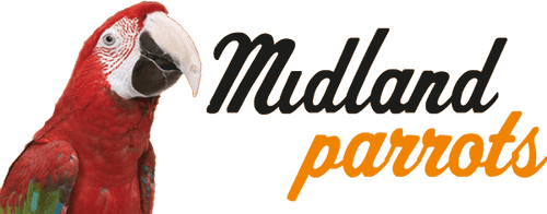 Midland Parrots & Pets