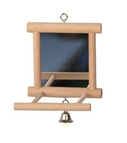 Mirror and Perch Bird Toy