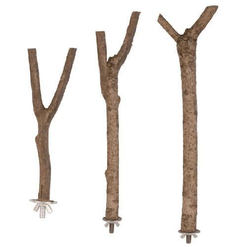 Medium Parrot Branch Perch