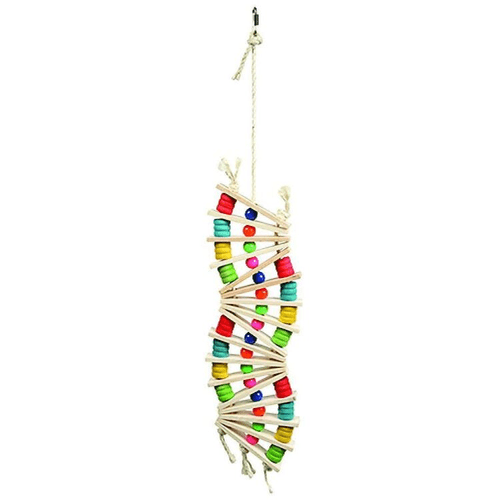 Rainbow Wave Parrot Toy