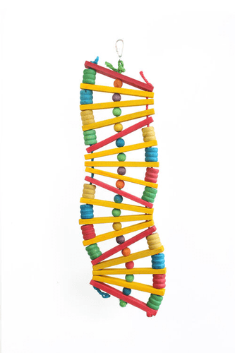 Zig Zag Parrot Toy